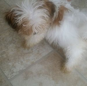 Meet your Posher, Maxine